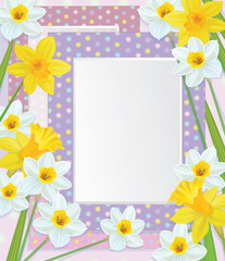Vector empty photo frames with daffodils.