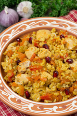 pilaf with vegetables, chicken and pomegranate