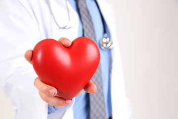 Male Doctor with red heart in his hands, isolated