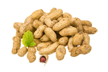 Peanut