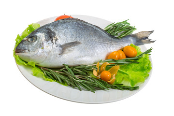 Raw dorada