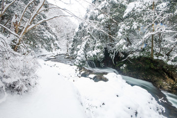 冬と渓流