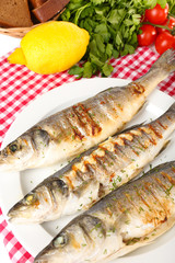 Delicious grilled fish on plate on table close-up