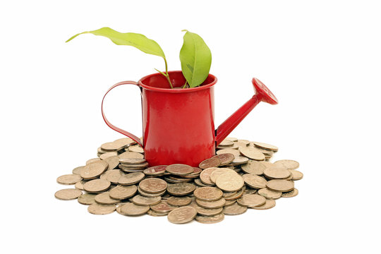 Idea of savings and money tree, isolated on white