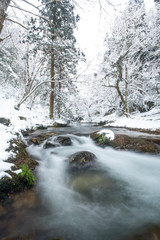 雪と渓流