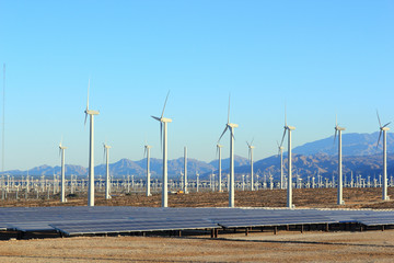 Solar and Wind Energy, Palm Springs, CA