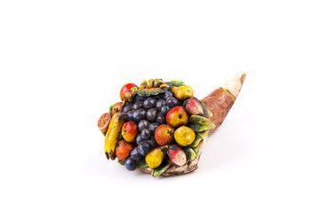 Cornucopia