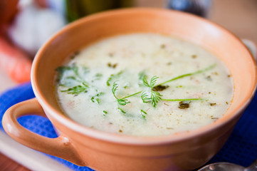 Sour and tasty cucumber soup