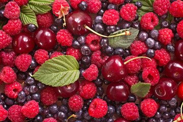 Wild berries background