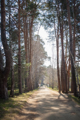 Obraz premium Park entrance