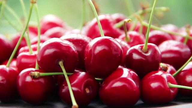 ripe cherry turns on a green background