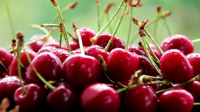 ripe cherry on a green background