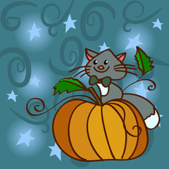 Obraz na płótnie Canvas Cat on a pumpkin at the night sky with stars for registration of