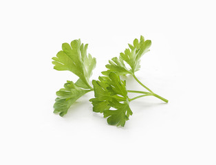 Parsley