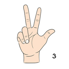 Sign language ,number 3