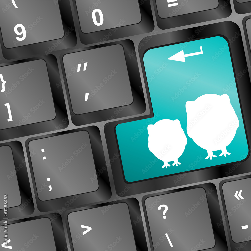 Poster owl sign on computer keyboard key button