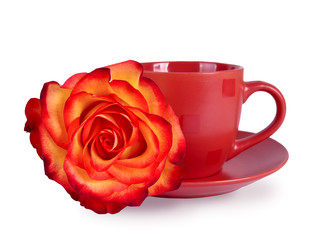 Still life with a mug and a beautiful rose