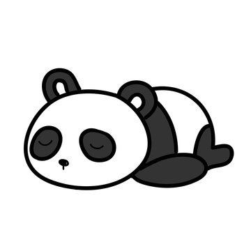baby panda sleeping vector illustration