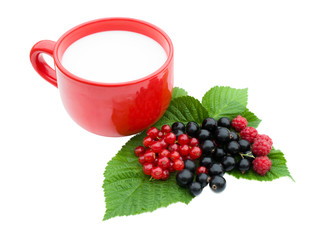 berries, currant  and cup of milk
