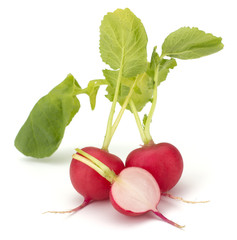 Fresh garden radish isolated on white background cutout