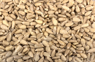 Sunflower seeds isolated on white background