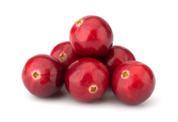 Cranberry isolated on white background closeup