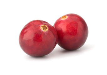Cranberry isolated on white background closeup