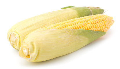Fresh raw corn cobs isolated on the white background © EM Art