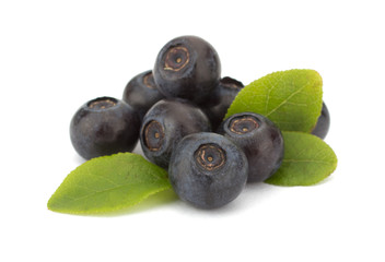 Fresh blueberries isolated on white background