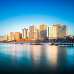 Fototapeta na wymiar Paris Skyline