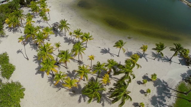 Matheson Hammock Park aerial video
