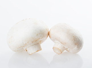 Champigny mushrooms
