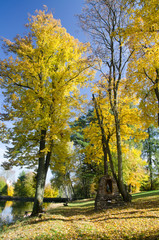 Fototapeta premium Autumnal park with bright colored trees