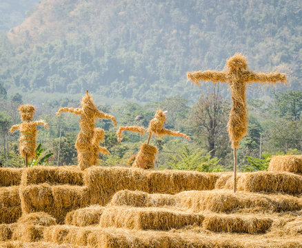 scarecrows stand together in the garden
