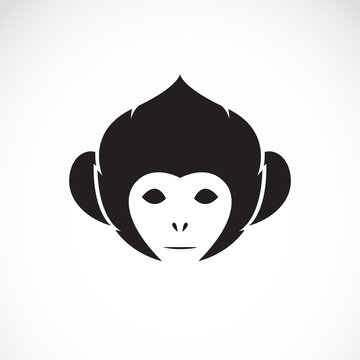 Vector image of an monkey head