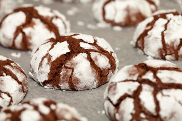 chocolate cookies