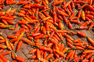 Red hot chili pepper