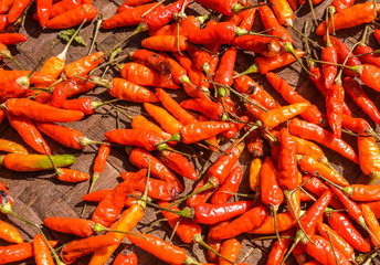 Red hot chili pepper