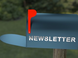 The Newsletter