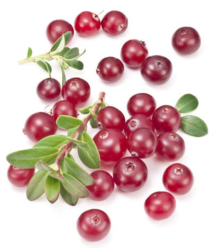 Cranberries with leaves.