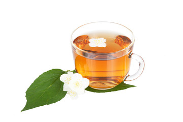 Transparent cup with tea with a jasmine