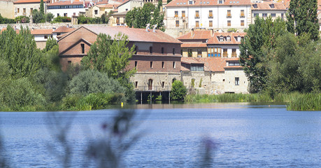 Obraz premium Houses on the bank of a river