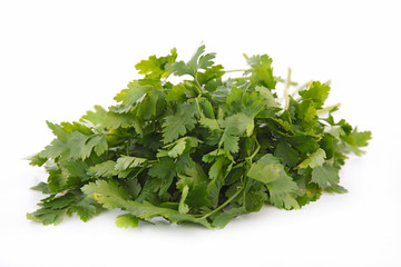 parsley isolated