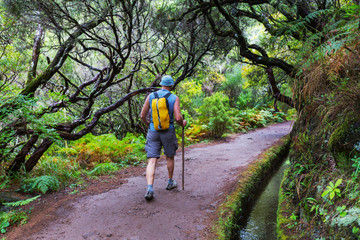 Obraz premium Hike on Madeira