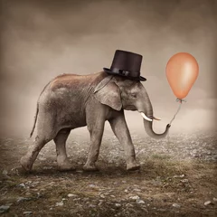 Printed kitchen splashbacks Elephant Elephant with a balloon