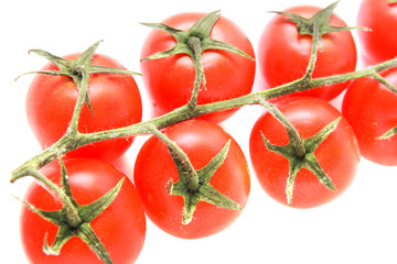 Fresh cherry tomatoes on branch isolated on white.