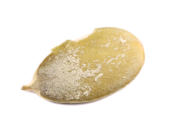 Close up of pumpkin seed.