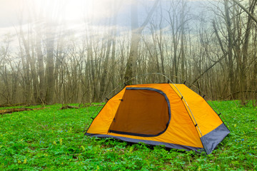 touristic camp in a green forest