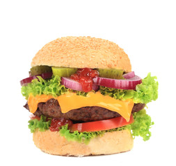 Tasty hamburger close up.