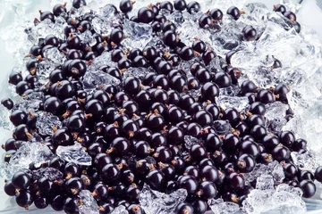 Meubelstickers Zwarte bes met ijs © Tim UR